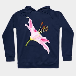 Pink lily Hoodie